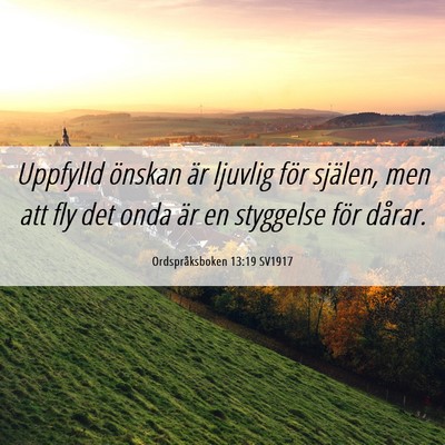 Picture 06 - Ordspråksboken 13:19 SV1917 - Uppfylld önskan är ljuvlig för själen, men - Bible Verse Picture