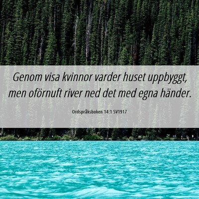 Picture 06 - Ordspråksboken 14:1 SV1917 - Genom visa kvinnor varder huset uppbyggt, men - Bible Verse Picture