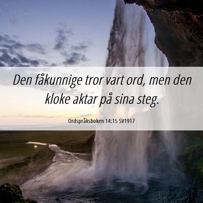 Picture 06 - Ordspråksboken 14:15 SV1917 - Den fåkunnige tror vart ord, men den kloke aktar - Bible Verse Picture