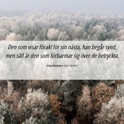 Picture 06 - Ordspråksboken 14:21 SV1917 - Den som visar förakt för sin nästa, han begår - Bible Verse Picture