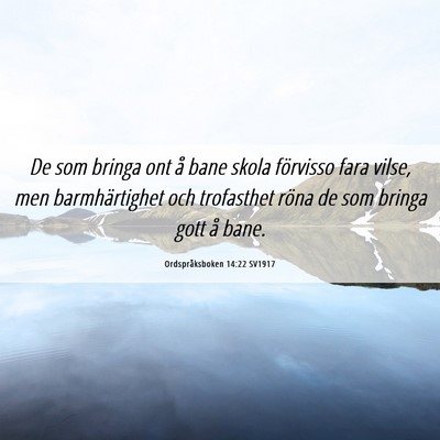 Picture 06 - Ordspråksboken 14:22 SV1917 - De som bringa ont å bane skola förvisso fara - Bible Verse Picture