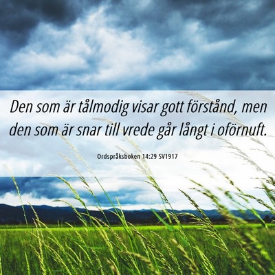 Picture 06 - Ordspråksboken 14:29 SV1917 - Den som är tålmodig visar gott förstånd, men - Bible Verse Picture