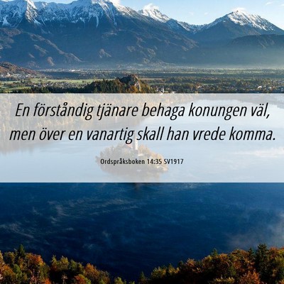 Picture 06 - Ordspråksboken 14:35 SV1917 - En förståndig tjänare behaga konungen väl, - Bible Verse Picture