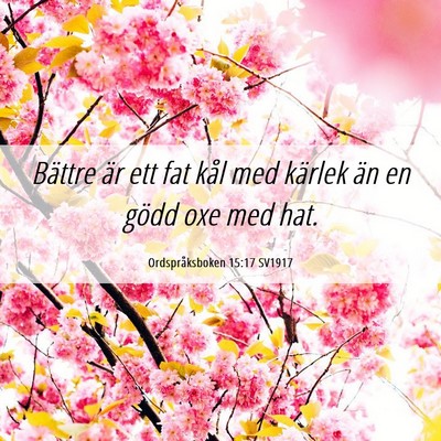 Picture 06 - Ordspråksboken 15:17 SV1917 - Bättre är ett fat kål med kärlek än en gödd - Bible Verse Picture