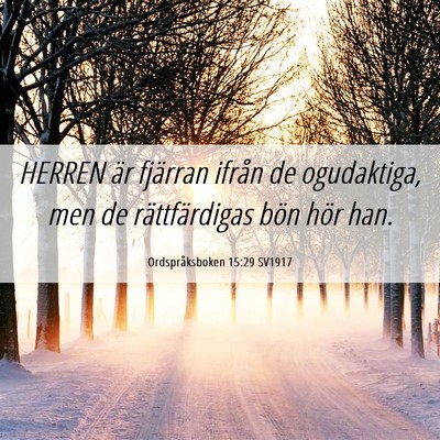 Picture 06 - Ordspråksboken 15:29 SV1917 - HERREN är fjärran ifrån de ogudaktiga, men de - Bible Verse Picture