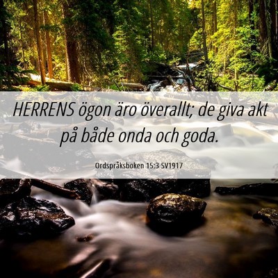Picture 06 - Ordspråksboken 15:3 SV1917 - HERRENS ögon äro överallt; de giva akt på - Bible Verse Picture