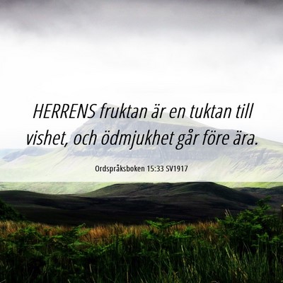 Picture 06 - Ordspråksboken 15:33 SV1917 - HERRENS fruktan är en tuktan till vishet, och - Bible Verse Picture