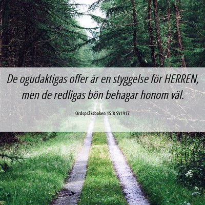 Picture 06 - Ordspråksboken 15:8 SV1917 - De ogudaktigas offer är en styggelse för - Bible Verse Picture
