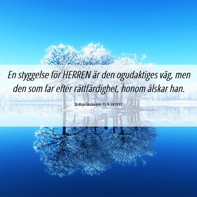 Picture 06 - Ordspråksboken 15:9 SV1917 - En styggelse för HERREN är den ogudaktiges - Bible Verse Picture