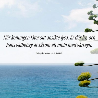 Picture 06 - Ordspråksboken 16:15 SV1917 - När konungen låter sitt ansikte lysa, är där - Bible Verse Picture