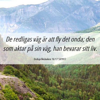 Picture 06 - Ordspråksboken 16:17 SV1917 - De redligas väg är att fly det onda; den som - Bible Verse Picture
