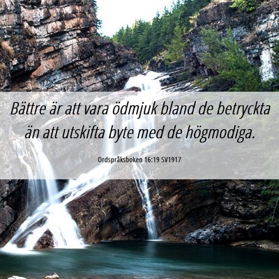 Picture 06 - Ordspråksboken 16:19 SV1917 - Bättre är att vara ödmjuk bland de betryckta - Bible Verse Picture