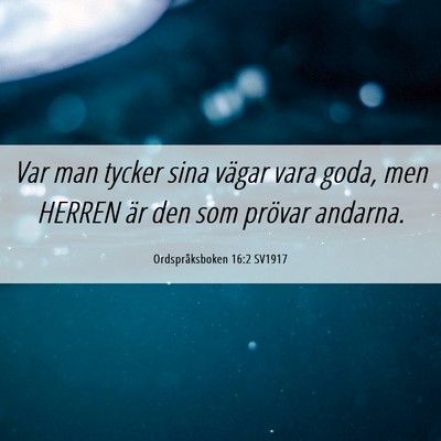 Picture 06 - Ordspråksboken 16:2 SV1917 - Var man tycker sina vägar vara goda, men HERREN - Bible Verse Picture