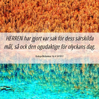 Picture 06 - Ordspråksboken 16:4 SV1917 - HERREN har gjort var sak för dess särskilda - Bible Verse Picture
