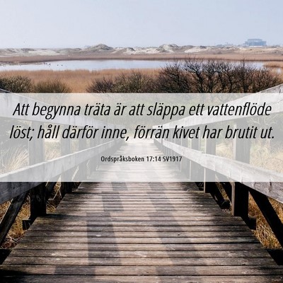 Picture 06 - Ordspråksboken 17:14 SV1917 - Att begynna träta är att släppa ett - Bible Verse Picture