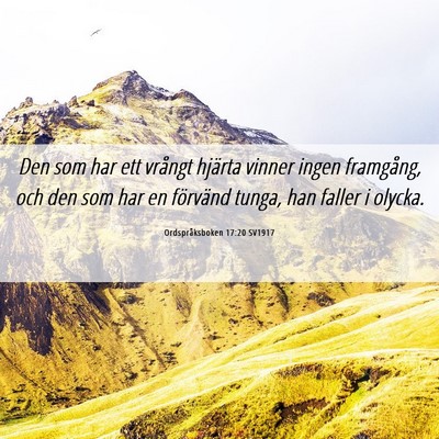 Picture 06 - Ordspråksboken 17:20 SV1917 - Den som har ett vrångt hjärta vinner ingen - Bible Verse Picture