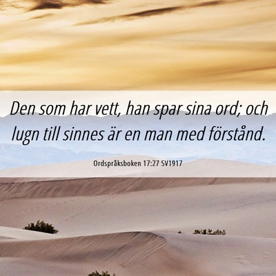 Picture 06 - Ordspråksboken 17:27 SV1917 - Den som har vett, han spar sina ord; och lugn - Bible Verse Picture