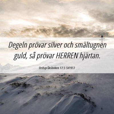 Picture 06 - Ordspråksboken 17:3 SV1917 - Degeln prövar silver och smältugnen guld, så - Bible Verse Picture
