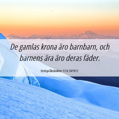 Picture 06 - Ordspråksboken 17:6 SV1917 - De gamlas krona äro barnbarn, och barnens ära - Bible Verse Picture