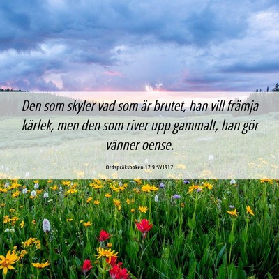 Picture 06 - Ordspråksboken 17:9 SV1917 - Den som skyler vad som är brutet, han vill - Bible Verse Picture