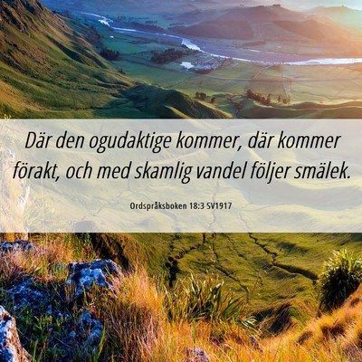 Picture 06 - Ordspråksboken 18:3 SV1917 - Där den ogudaktige kommer, där kommer förakt, - Bible Verse Picture