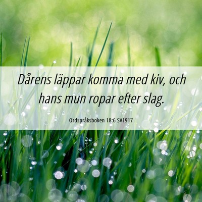 Picture 06 - Ordspråksboken 18:6 SV1917 - Dårens läppar komma med kiv, och hans mun ropar - Bible Verse Picture