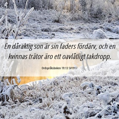 Picture 06 - Ordspråksboken 19:13 SV1917 - En dåraktig son är sin faders fördärv, och en - Bible Verse Picture