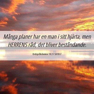 Picture 06 - Ordspråksboken 19:21 SV1917 - Många planer har en man i sitt hjärta, men - Bible Verse Picture
