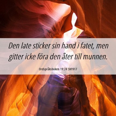 Picture 06 - Ordspråksboken 19:24 SV1917 - Den late sticker sin hand i fatet, men gitter - Bible Verse Picture