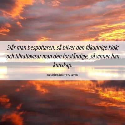 Picture 06 - Ordspråksboken 19:25 SV1917 - Slår man bespottaren, så bliver den fåkunnige - Bible Verse Picture