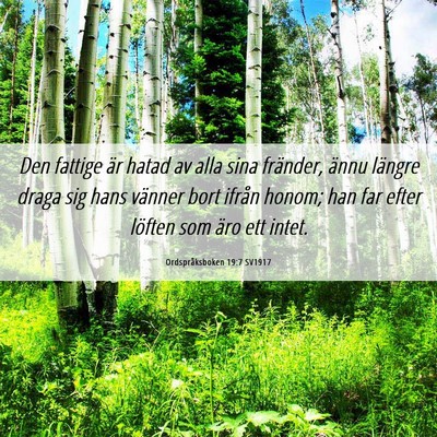 Picture 06 - Ordspråksboken 19:7 SV1917 - Den fattige är hatad av alla sina fränder, - Bible Verse Picture