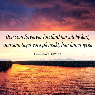 Picture 06 - Ordspråksboken 19:8 SV1917 - Den som förvärvar förstånd har sitt liv - Bible Verse Picture