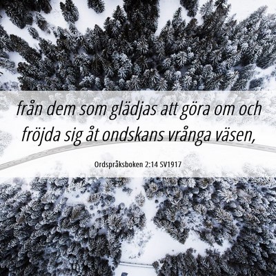 Picture 06 - Ordspråksboken 2:14 SV1917 - från dem som glädjas att göra om och fröjda - Bible Verse Picture