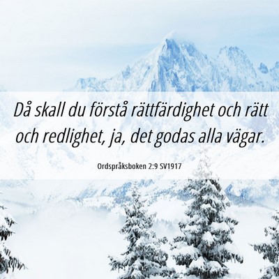 Picture 06 - Ordspråksboken 2:9 SV1917 - Då skall du förstå rättfärdighet och rätt - Bible Verse Picture