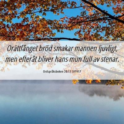 Picture 06 - Ordspråksboken 20:17 SV1917 - Orättfånget bröd smakar mannen ljuvligt, men - Bible Verse Picture