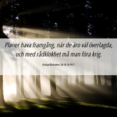 Picture 06 - Ordspråksboken 20:18 SV1917 - Planer hava framgång, när de äro väl - Bible Verse Picture
