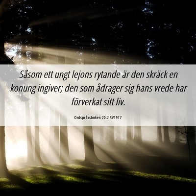 Picture 06 - Ordspråksboken 20:2 SV1917 - Såsom ett ungt lejons rytande är den skräck en - Bible Verse Picture