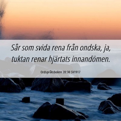 Picture 06 - Ordspråksboken 20:30 SV1917 - Sår som svida rena från ondska, ja, tuktan - Bible Verse Picture