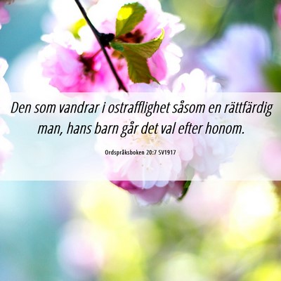 Picture 06 - Ordspråksboken 20:7 SV1917 - Den som vandrar i ostrafflighet såsom en - Bible Verse Picture