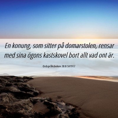 Picture 06 - Ordspråksboken 20:8 SV1917 - En konung, som sitter på domarstolen, rensar med - Bible Verse Picture
