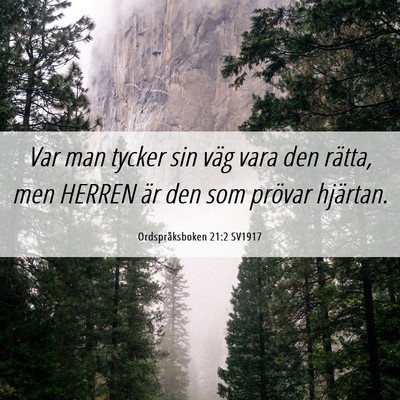 Picture 06 - Ordspråksboken 21:2 SV1917 - Var man tycker sin väg vara den rätta, men - Bible Verse Picture