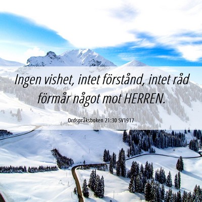 Picture 06 - Ordspråksboken 21:30 SV1917 - Ingen vishet, intet förstånd, intet råd - Bible Verse Picture