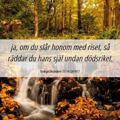 Picture 06 - Ordspråksboken 23:14 SV1917 - ja, om du slår honom med riset, så räddar du - Bible Verse Picture