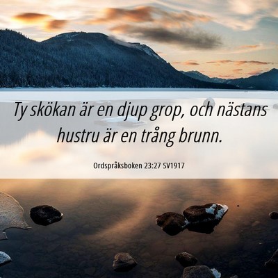 Picture 06 - Ordspråksboken 23:27 SV1917 - Ty skökan är en djup grop, och nästans hustru - Bible Verse Picture