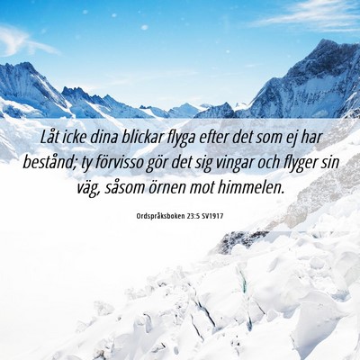 Picture 06 - Ordspråksboken 23:5 SV1917 - Låt icke dina blickar flyga efter det som ej har - Bible Verse Picture