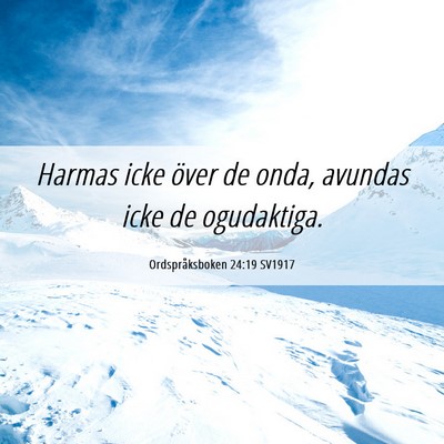 Picture 06 - Ordspråksboken 24:19 SV1917 - Harmas icke över de onda, avundas icke de - Bible Verse Picture