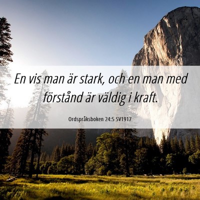 Picture 06 - Ordspråksboken 24:5 SV1917 - En vis man är stark, och en man med förstånd - Bible Verse Picture