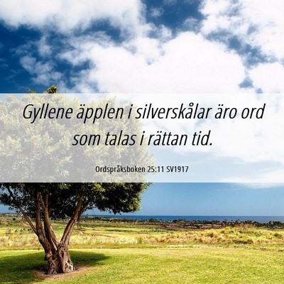 Picture 06 - Ordspråksboken 25:11 SV1917 - Gyllene äpplen i silverskålar äro ord som - Bible Verse Picture