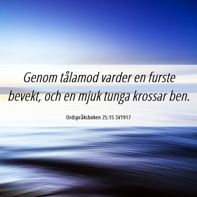 Picture 06 - Ordspråksboken 25:15 SV1917 - Genom tålamod varder en furste bevekt, och en - Bible Verse Picture