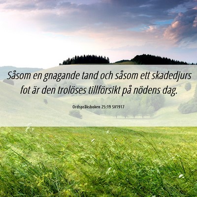 Picture 06 - Ordspråksboken 25:19 SV1917 - Såsom en gnagande tand och såsom ett skadedjurs - Bible Verse Picture